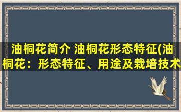 油桐花简介 油桐花形态特征(油桐花：形态特征、用途及栽培技术解析)